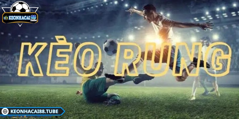 Sai lầm thường gặp khi all-in kèo rung phút cuối dễ thua - 2 Thông tin về loại kèo và lý do được nhiều người lựa chọn