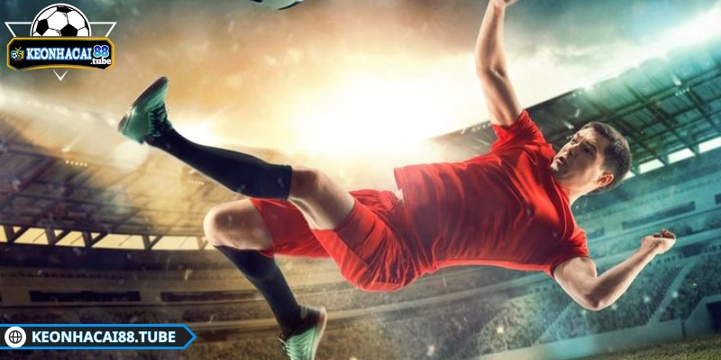 Lịch Thi Đấu - 3 Vài dữ liệu xoay quanh giải đấu được cập nhật